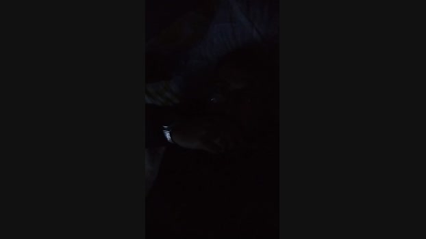 KINTAR 06-04-2025 Recorded Video analsex