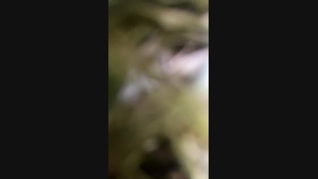 Peverrel34 06-04-2025 Recorded Video fuck