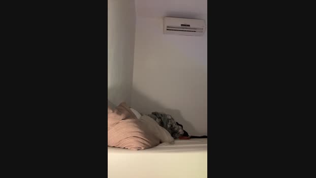 RickyForteXXX 07-04-2025 Recorded Video bigtoys