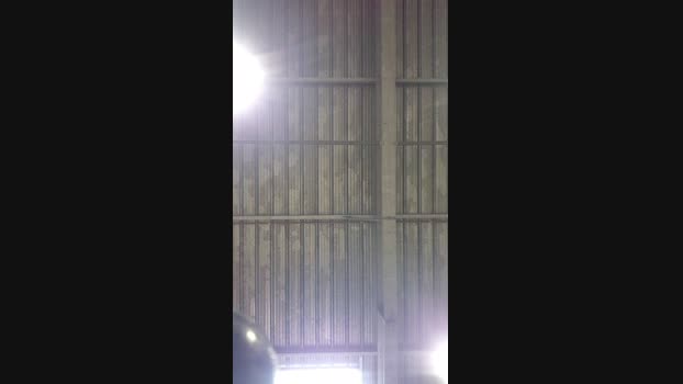 Sympathique 07-04-2025 Recorded Video Video
