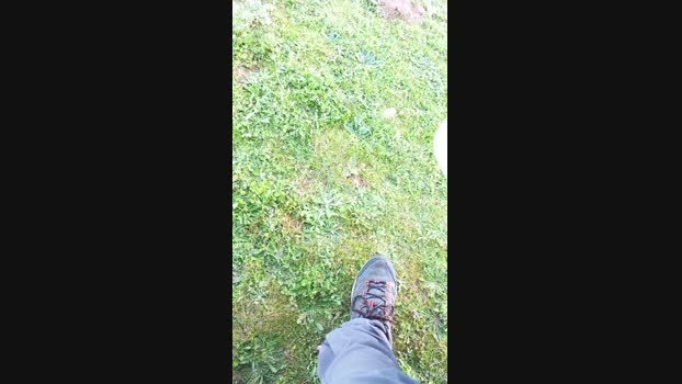 Agataperra35 07-04-2025 Recorded Video skinny
