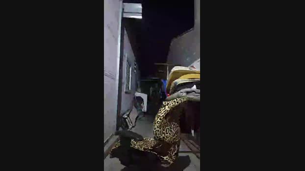 Walinh_o 08-04-2025 Recorded Video analtoy