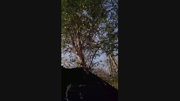 Anthonytotony27 09-04-2025 Recorded Video ass