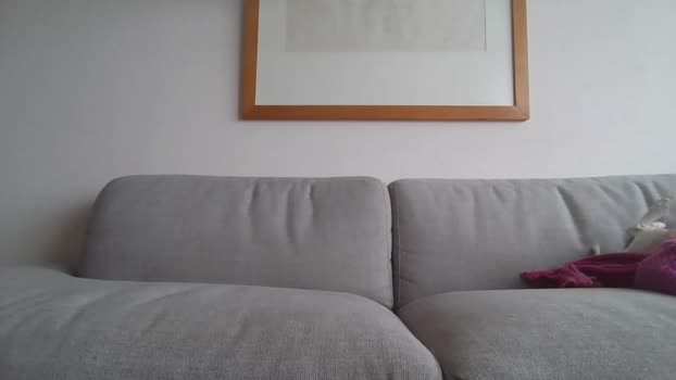 diegodiazchi 08-04-2025 Recorded Video Porn