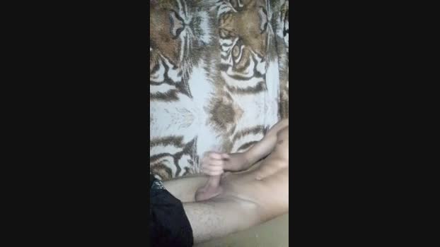Michael_Safadex 11-04-2025 Recorded Video Nude