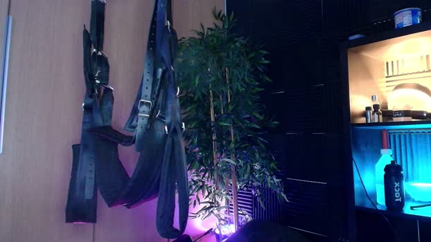 Sxxthiago 11-04-2025 Recorded Video jackoff