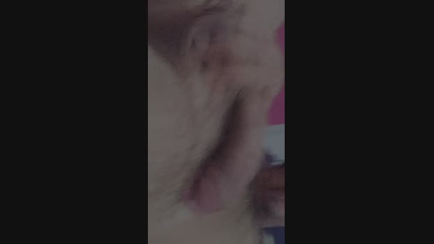 mach75 11-04-2025 Recorded Video twink