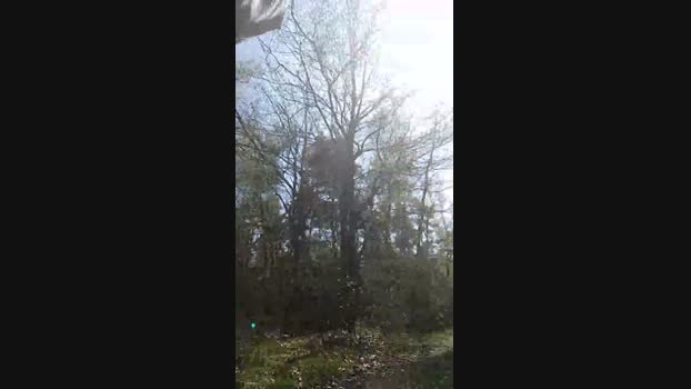 tobi_nrw1990 11-04-2025 Recorded Video nasty