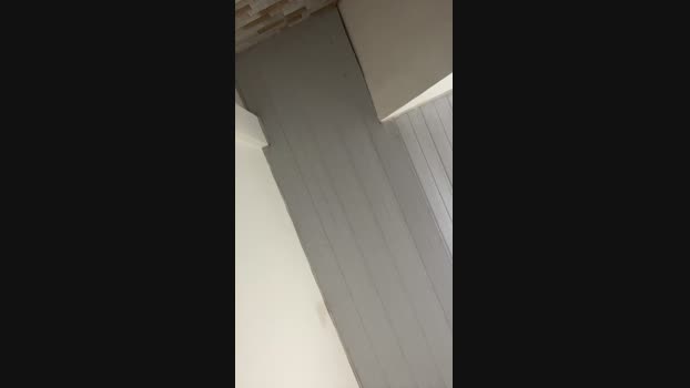 MeninoLobo_ 11-04-2025 Recorded Video deep