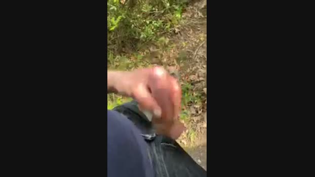 Zorro2024 12-04-2025 Recorded Video Recorded