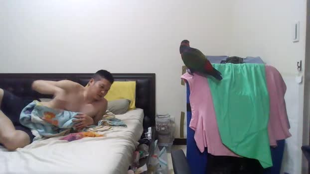 conme44 12-04-2025 Recorded Video lovense