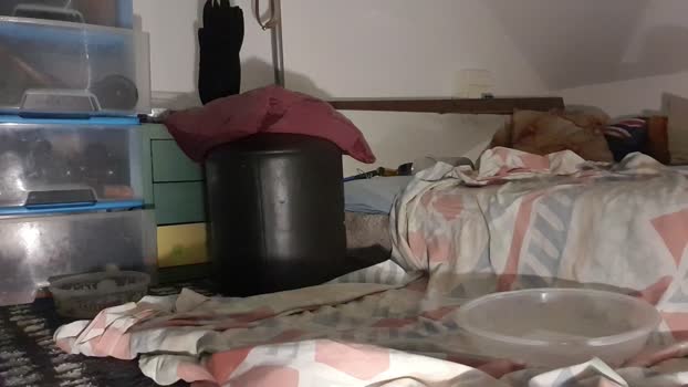 Mathyas82 12-04-2025 Recorded Video amateur