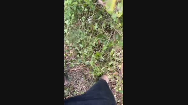 Zorro2024 12-04-2025 Recorded Video deepthroat