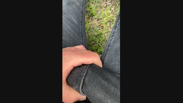 Zorro2024 12-04-2025 Recorded Video deep