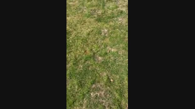 79erMicha 14-04-2025 Recorded Video sex