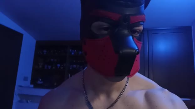 Frabroker 14-04-2025 Recorded Video big