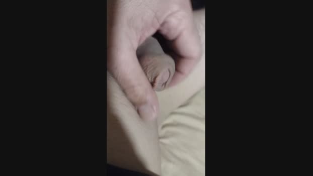 bandido23cm_hot 14-04-2025 Recorded Video Pretty