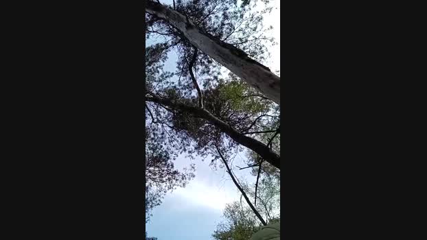 xxxxander 14-04-2025 Recorded Video Ass