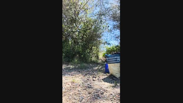 6Q87 17-04-2025 Recorded Video big