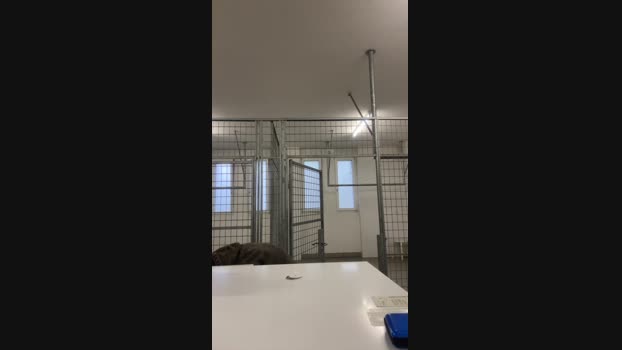 BigProfit95 17-04-2025 Recorded Video fuckass