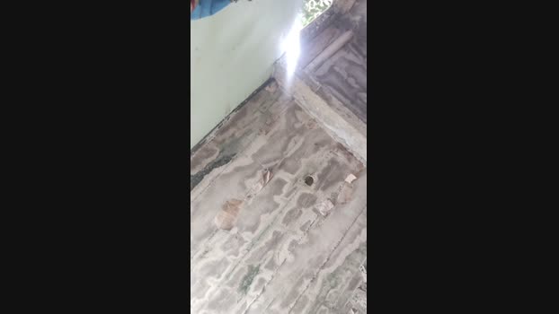 OiRenan 17-04-2025 Recorded Video love