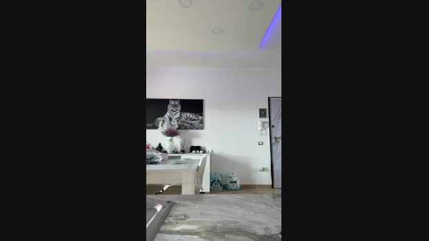 Stallone0404200 18-04-2025 Recorded Video squirt