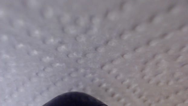 fenicerossa 17-04-2025 Recorded Video bigtoys