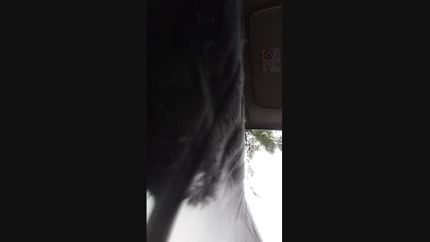 nico1873 18-04-2025 Recorded Video prettyface