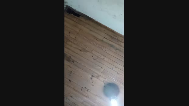 Brnzl 19-04-2025 Recorded Video Ass