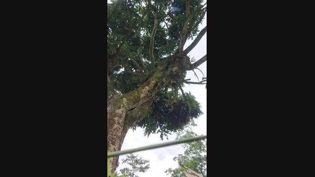 Clark_Jhonz 18-04-2025 Recorded Video jerkoff