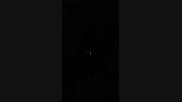 pollen_07 18-04-2025 Recorded Video fuck