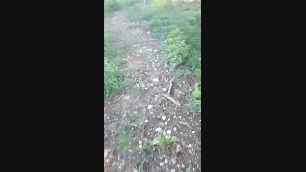 Legtiste 20-04-2025 Recorded Video orgasm
