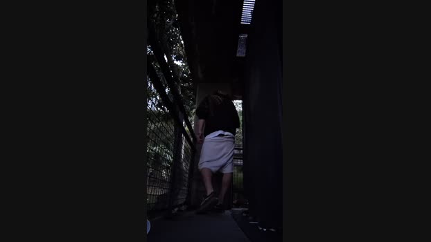 Sexylatinogay 20-04-2025 Recorded Video bj-dildo