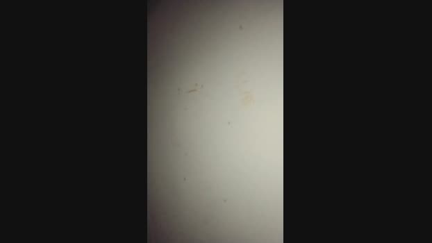 bandido23cm_hot 20-04-2025 Recorded Video striptease