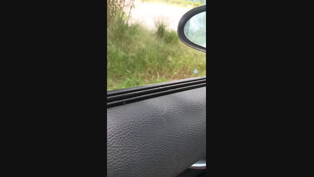 livenews1 20-04-2025 Recorded Video orgasm