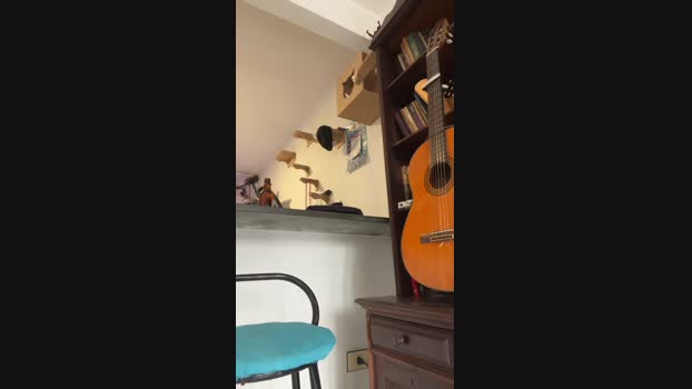 raul4396624 19-04-2025 Recorded Video prettyface
