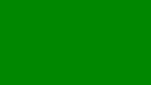 gerson229 20-04-2025 Recorded Video oral