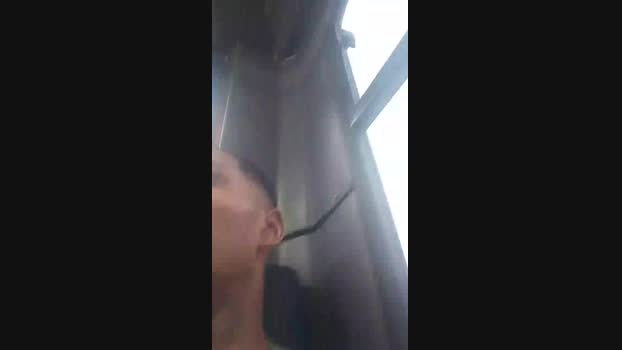 Rafachel 21-04-2025 Recorded Video harddick