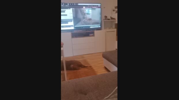 dickkkkkm_xxx 22-04-2025 Recorded Video gag
