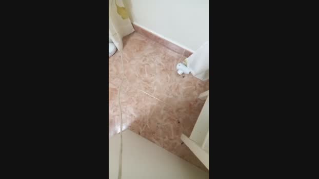 elgefe80 22-04-2025 Recorded Video sweet
