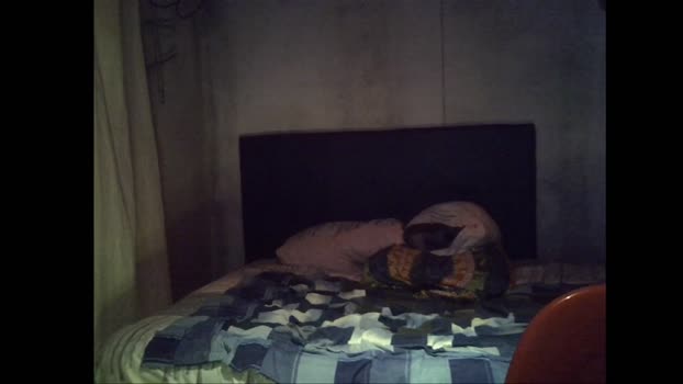 Plata2025 23-04-2025 Recorded Video deepthroat