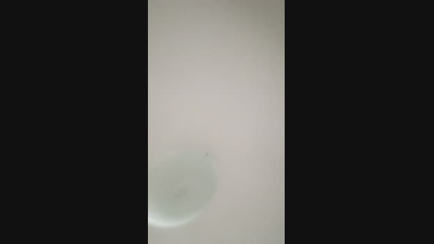 elgefe80 23-04-2025 Recorded Video cute