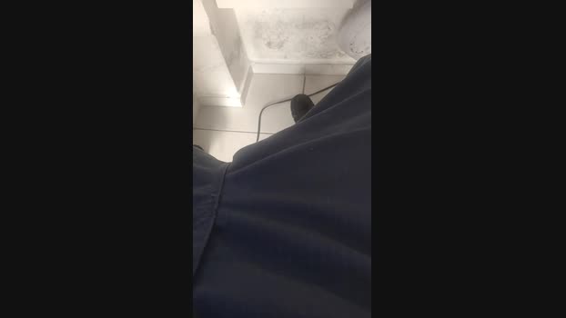 morcego01 23-04-2025 Recorded Video cute