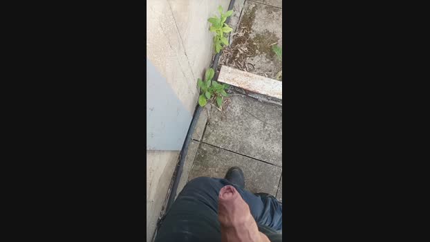 Corridon 24-04-2025 Recorded Video natural