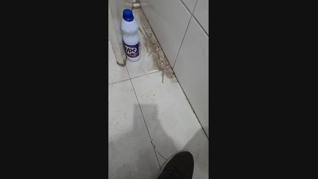 gostosomt1978 24-04-2025 Recorded Video bigballs