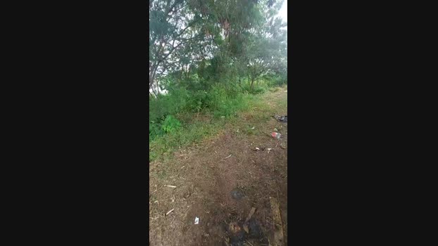 jao_magrao 24-04-2025 Recorded Video squirt