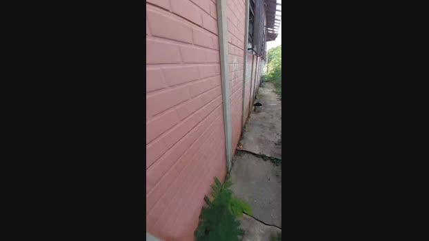 jao_magrao 24-04-2025 Recorded Video legs