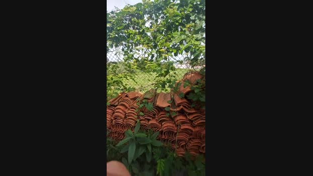 jao_magrao 24-04-2025 Recorded Video hot