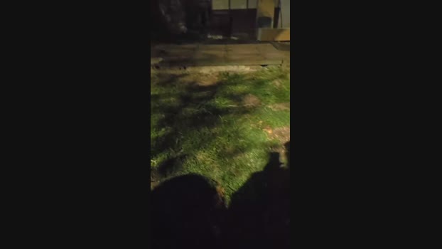 pollen_07 23-04-2025 Recorded Video fuckass