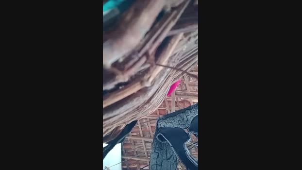 zepica7 24-04-2025 Recorded Video sex